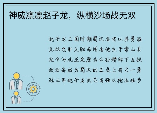 神威凛凛赵子龙，纵横沙场战无双