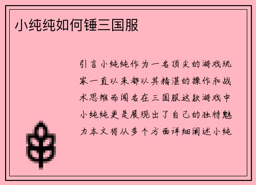 小纯纯如何锤三国服