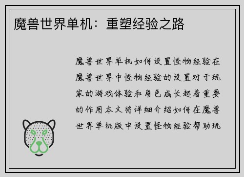 魔兽世界单机：重塑经验之路